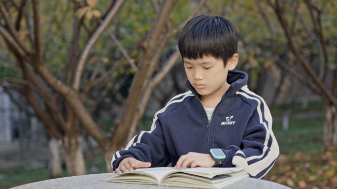 小学生看书 小男孩阅读 世界阅读日