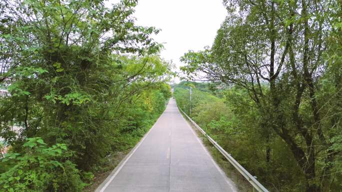 航拍汽车在公路行驶，森林沿途自然风景