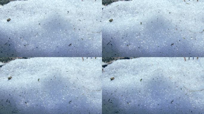雪融化过程的特写镜头