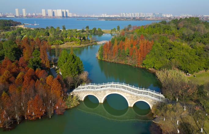 南昌瑶湖郊野森林公园 瑶湖湿地公园