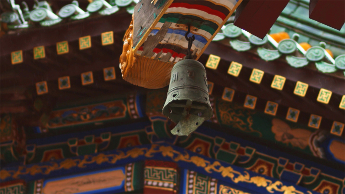 寺院寺庙古建筑雨天下雨普陀山祈福故宫屋檐