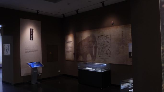 长春博物馆猛犸象化石古生物