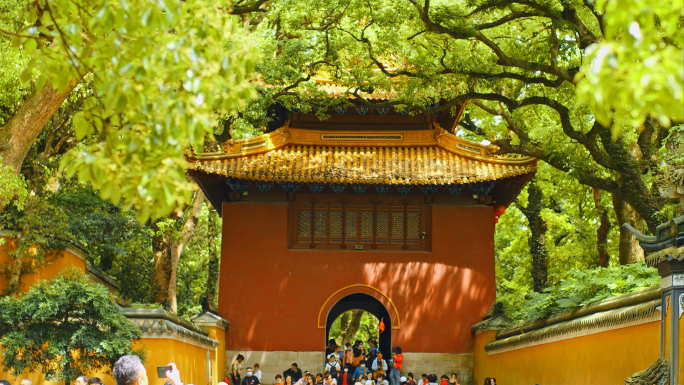 寺院寺庙古建筑普陀山祈福故宫园林僧人