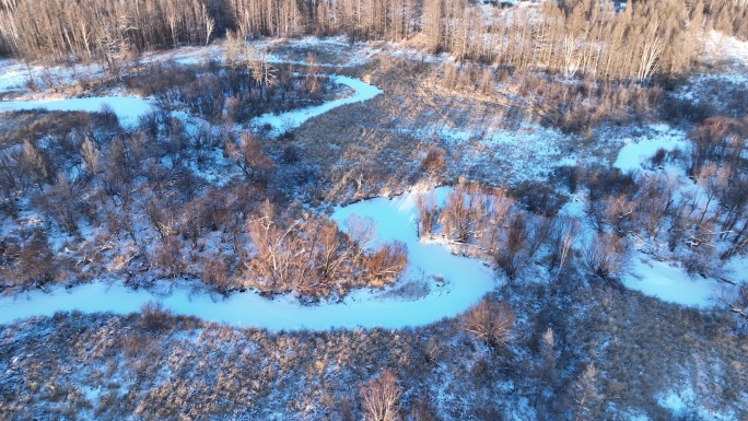 航拍冰雪覆盖的冻土森林湿地