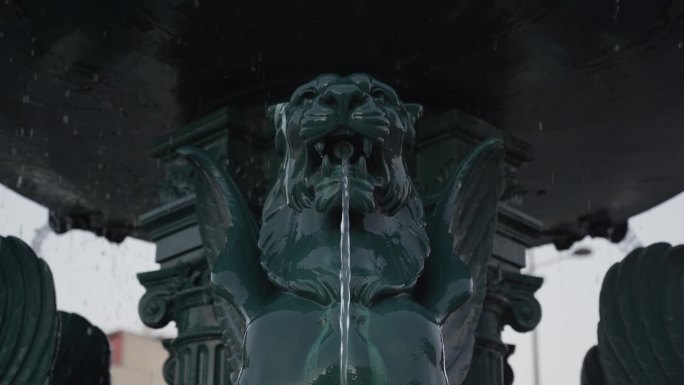 波尔图大学教区长宿舍的狮子喷泉。清澈的水从雄伟的狮子口中流出。镜头对准狮子的头部和嘴巴。
