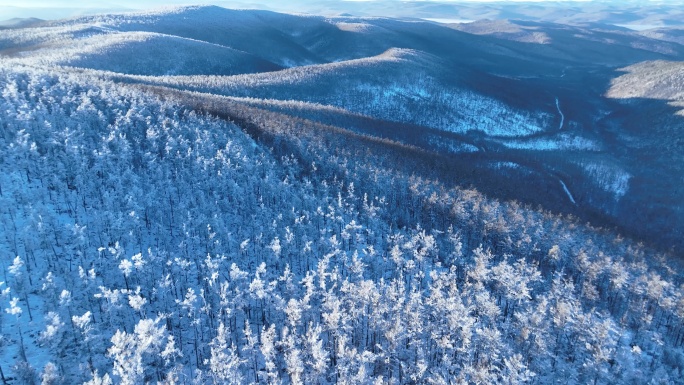 航拍大兴安岭黎明林海雪原