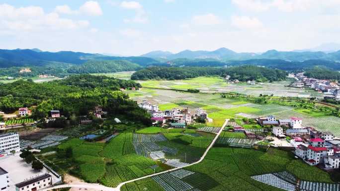 武平光彩村航拍