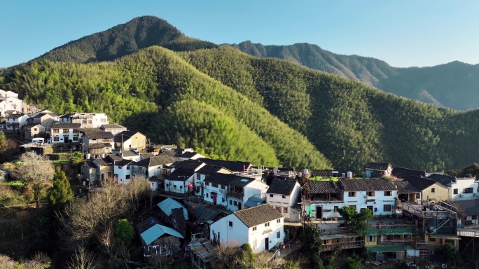 黄山木梨硔