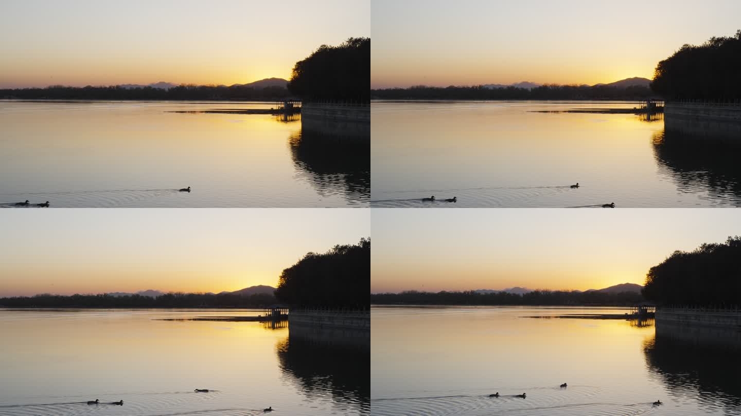 颐和园昆明湖鸭子游过湖面夕阳晚霞