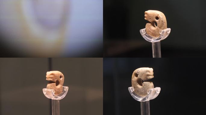 长春博物馆猛犸象化石古生物