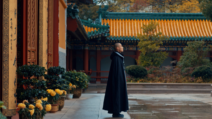 寺院寺庙古建筑雨天僧人普陀山宝陀讲寺观音