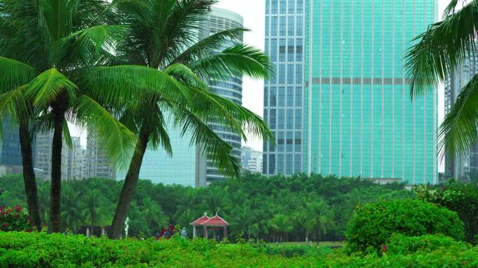 海口万绿园雨景