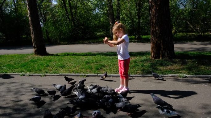 小女孩在公园里玩捉鸟和跑。享受活动