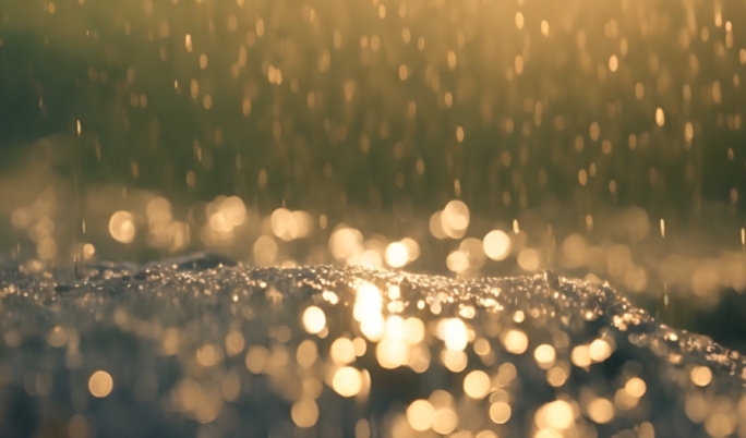 清晨唯美草地雨露日出水滴合集