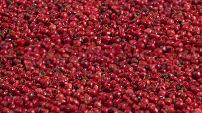 粉红胡椒或喜马拉雅红胡椒浆果旋转背景近侧光。香料被称为秘鲁胡椒树或巴西胡椒