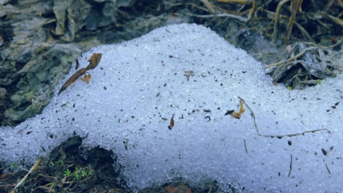 雪融化过程的特写镜头