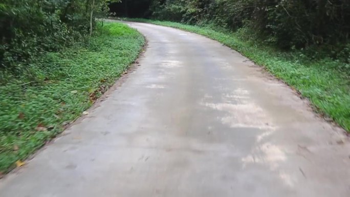 汽车上山经过一条有小溪的自然小路，一条艰难的道路，道路两旁长满了树木。多雨的气氛。观点开车。