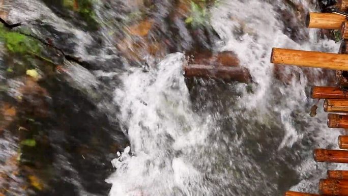 气势磅礴的瀑布特写，水色浑浊。瀑布穿过竹林。