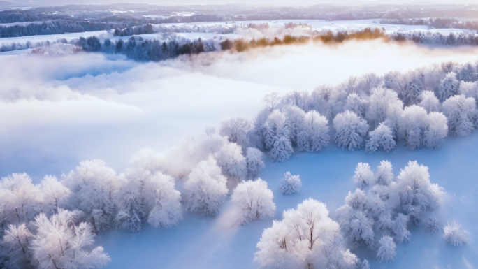 航怕冬季雪景雾凇