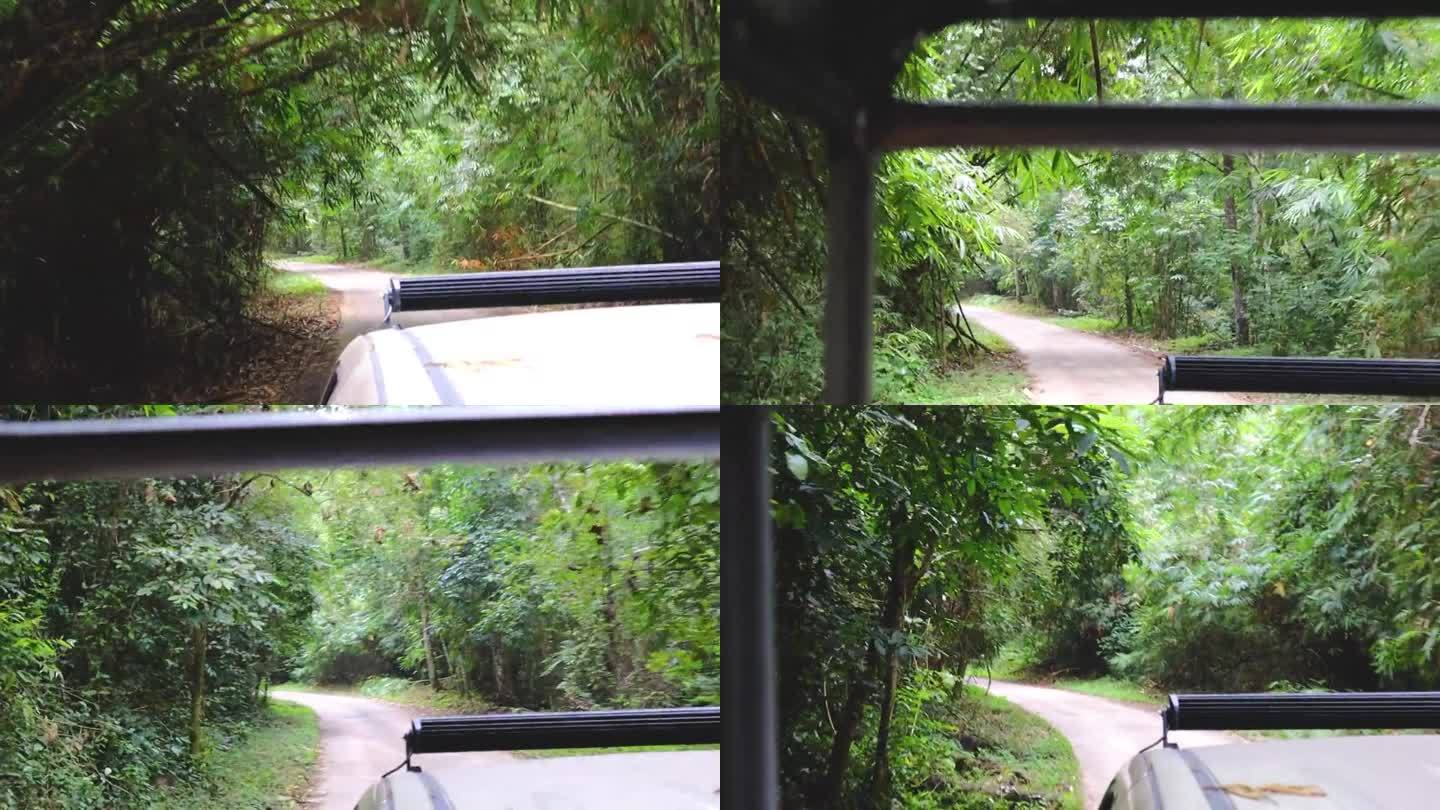 汽车上山经过一条有小溪的自然小路，一条艰难的道路，道路两旁长满了树木。多雨的气氛。观点开车。