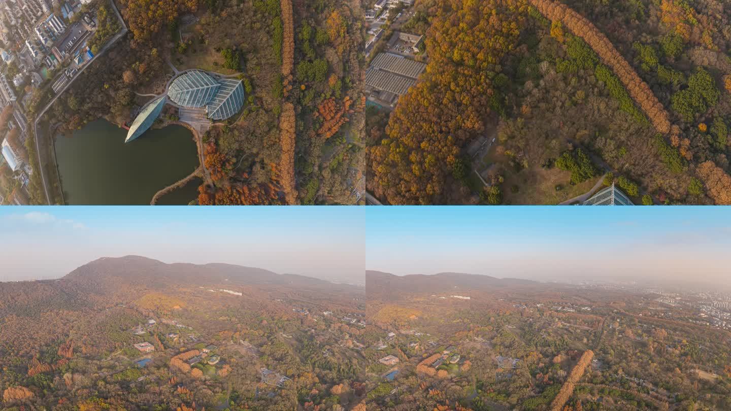 航拍南京中山植物园720全景