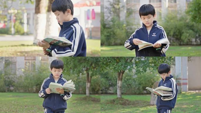 小男孩校园走路看书阅读