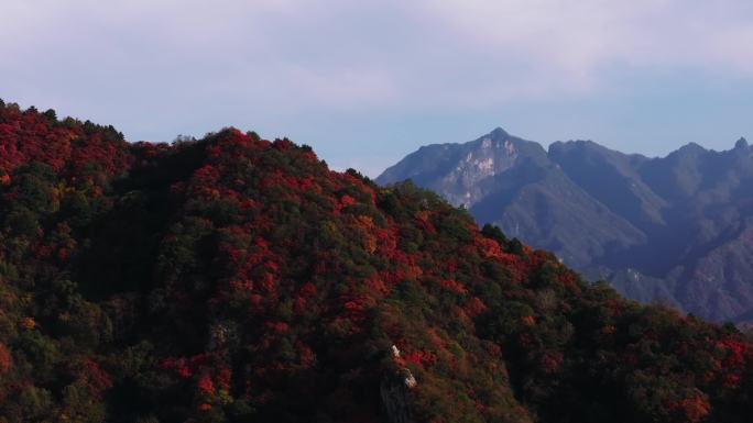 陕西西安秦岭地标圭峰山秋季红叶夕阳航拍