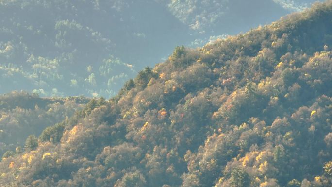 宝兴县神木垒航拍