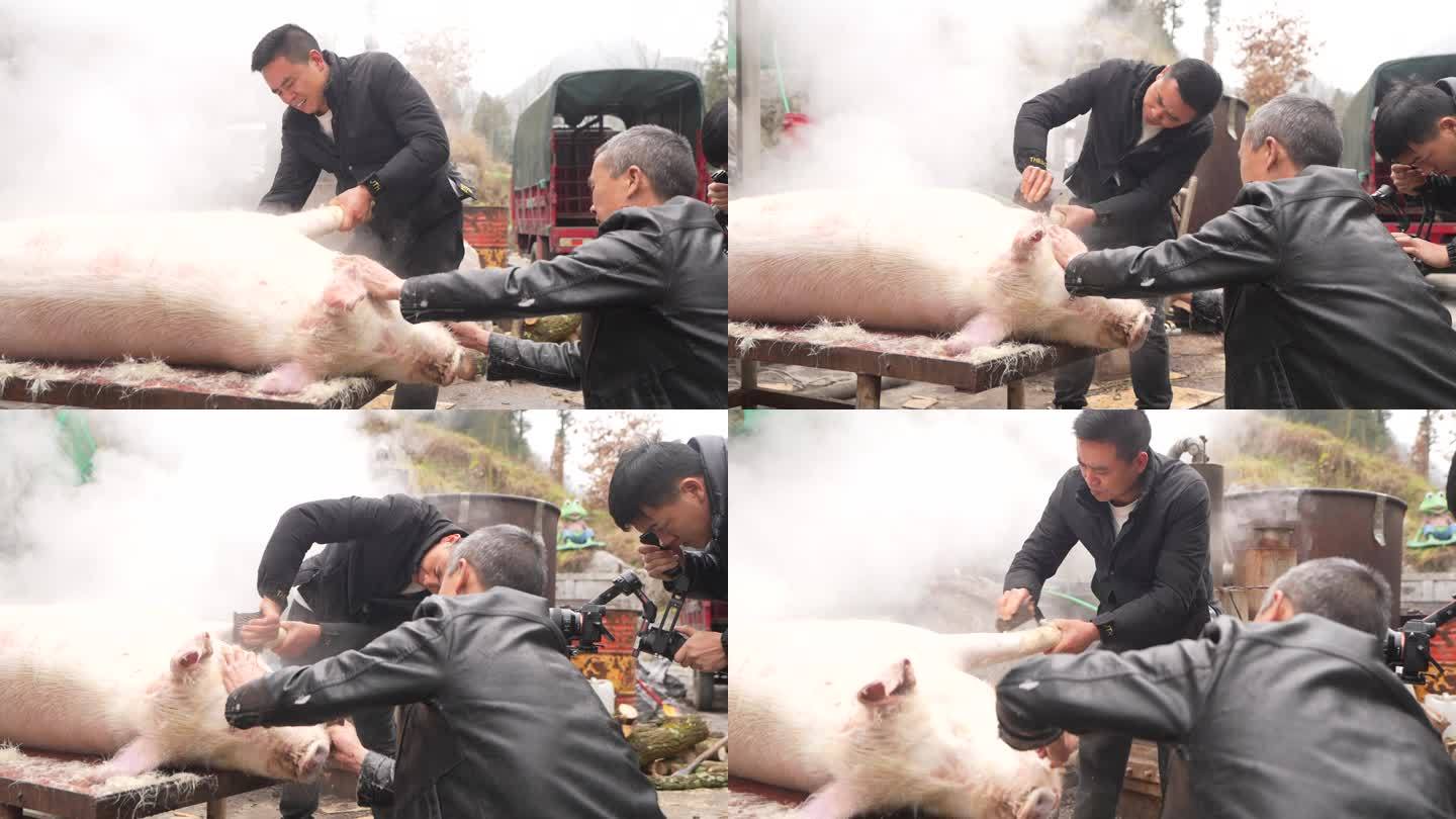 农村杀过年猪年味素材4K