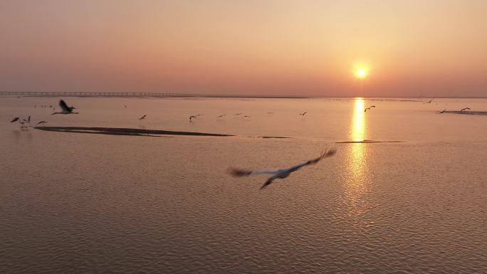 鄱阳湖日落