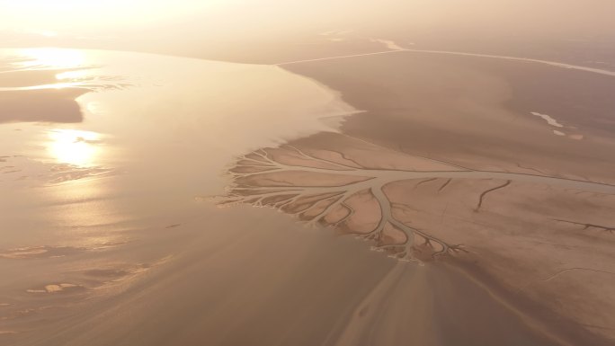 干涸的鄱阳湖，流动得像树一样的抽象图案