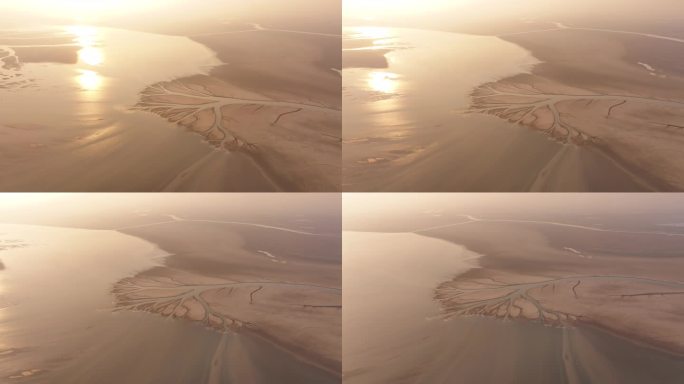 干涸的鄱阳湖，流动得像树一样的抽象图案