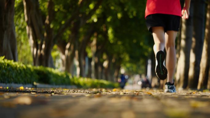 阳光跑城市跑步锻炼训练