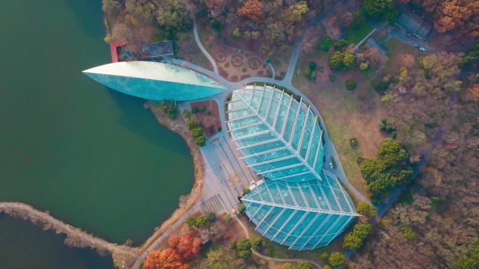 南京中山植物园前湖公园秋色