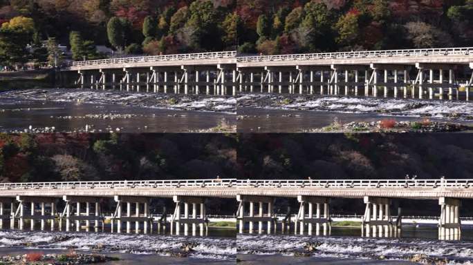 秋天，京都桂川河附近的通津桥长焦镜头