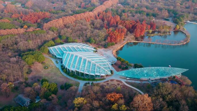 南京中山植物园前湖公园秋色