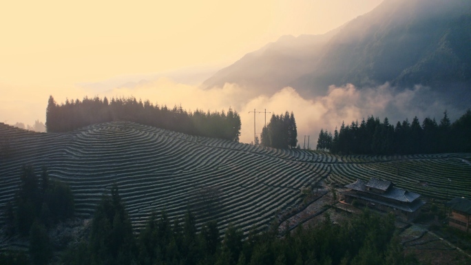 茶山云海朝霞