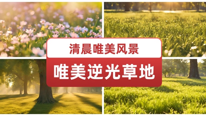 清晨唯美逆光草地 树荫绿荫 大自然阳光