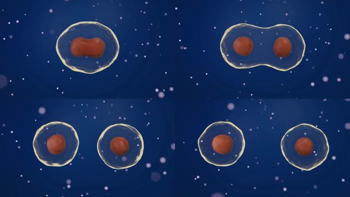 细胞分裂细胞繁殖细胞生长