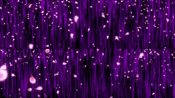 紫色浪漫光线花瓣背景