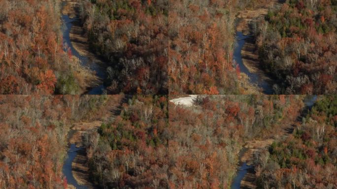 深秋时节的森林和阿肯色州华盛顿县西福克附近李克里克河的沼泽。无人机航拍