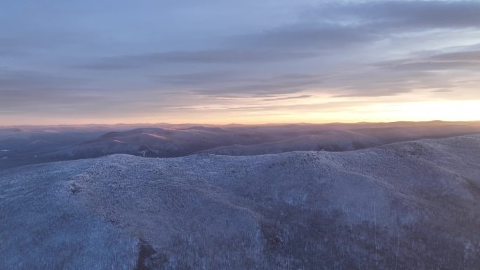 航拍大兴安岭林海雪原雪色黎明