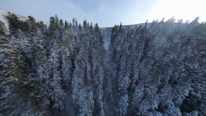 红原雪景