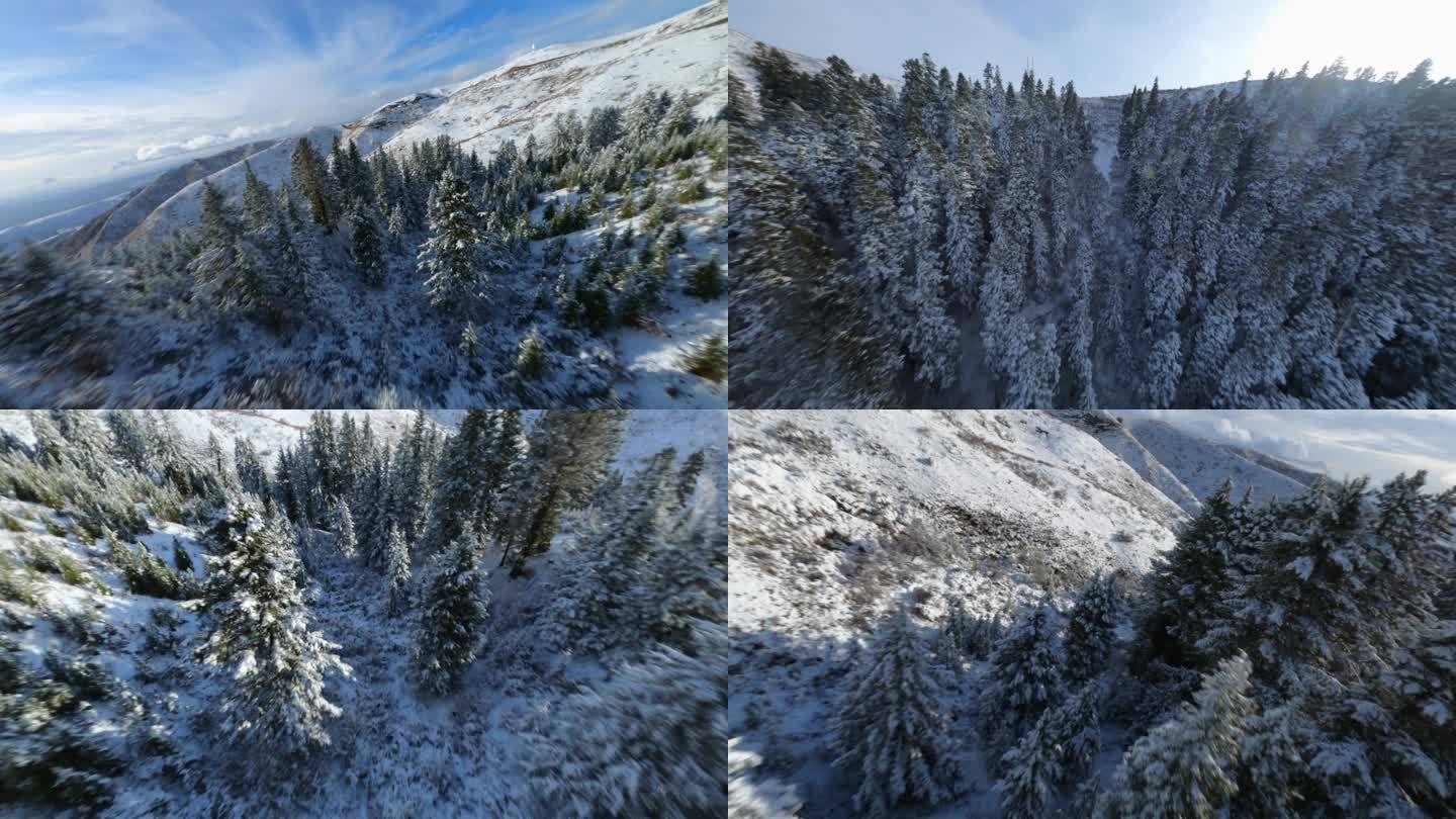 红原雪景