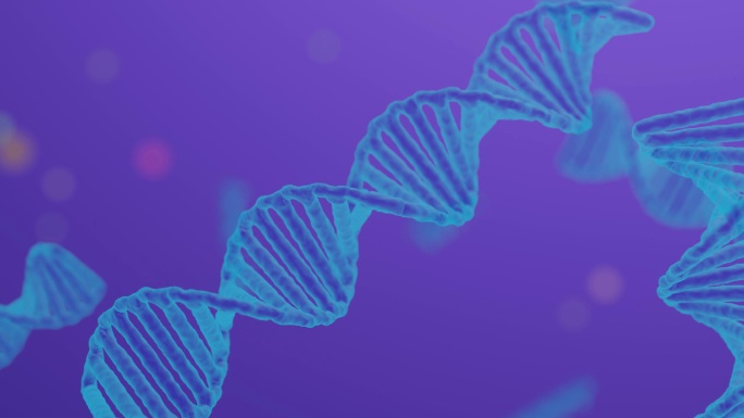 DNA三维模型动画基因片段