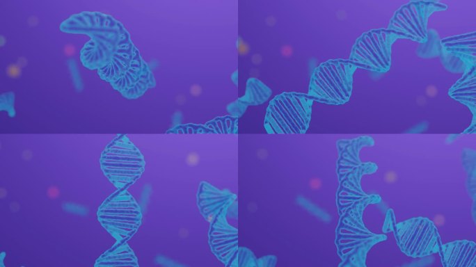 DNA三维模型动画基因片段