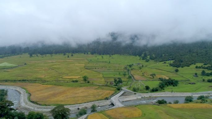 农田 河道 森林 山雾