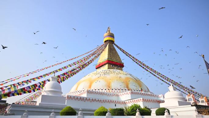尼泊尔布达那塔鸟儿飞走慢动作稳定器前进佛教寺庙世界遗产加德满都谷地