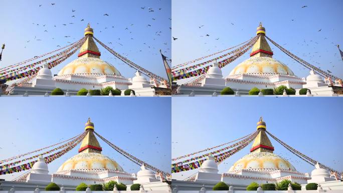 尼泊尔布达那塔鸟儿飞走慢动作稳定器前进佛教寺庙世界遗产加德满都谷地