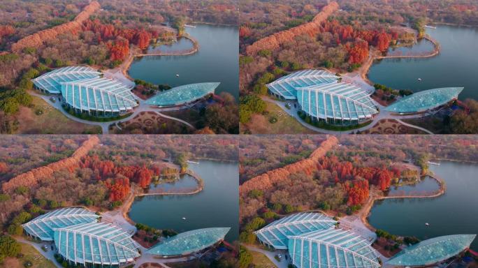 南京中山植物园前湖公园秋色